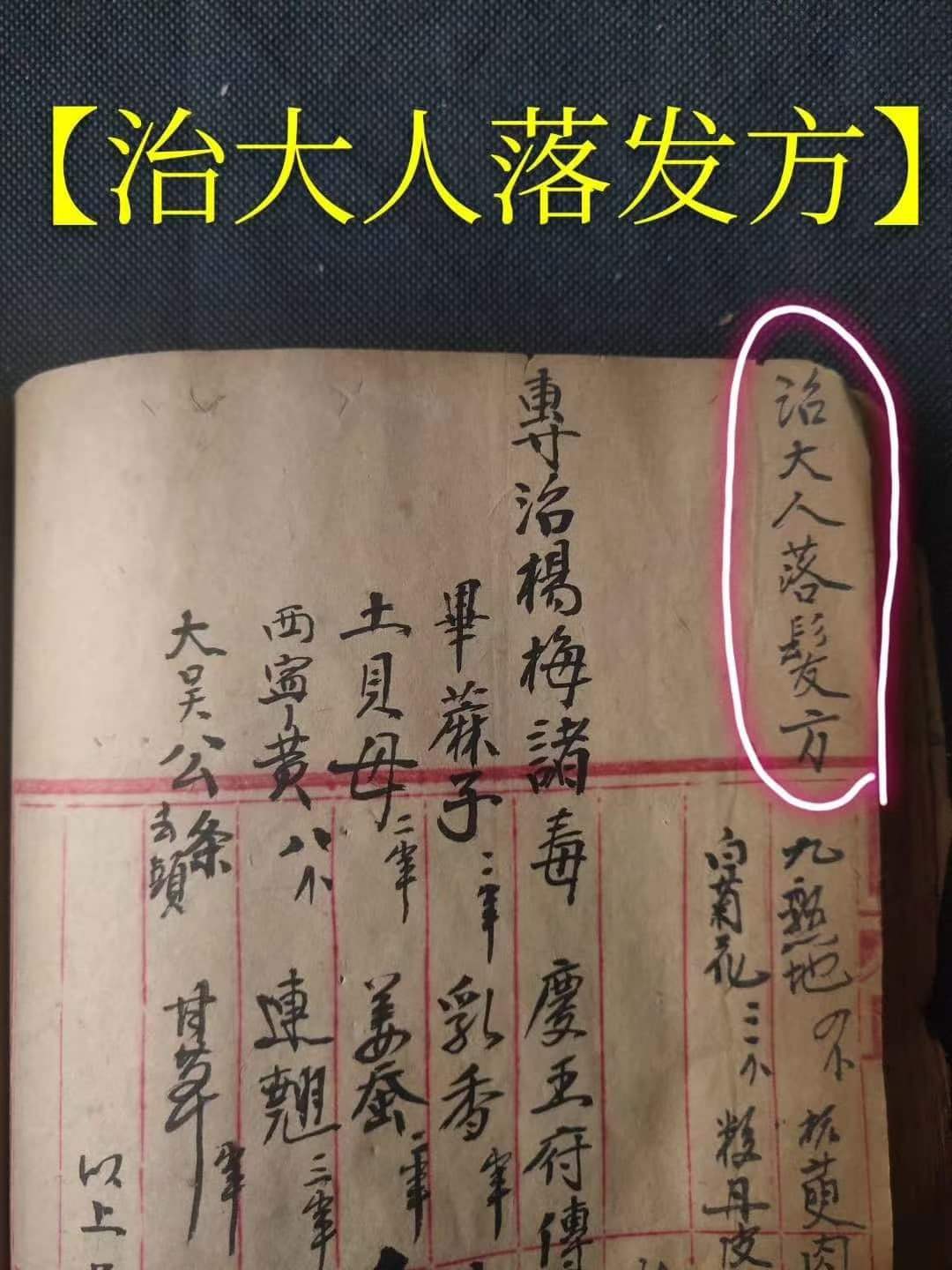 46.jpg