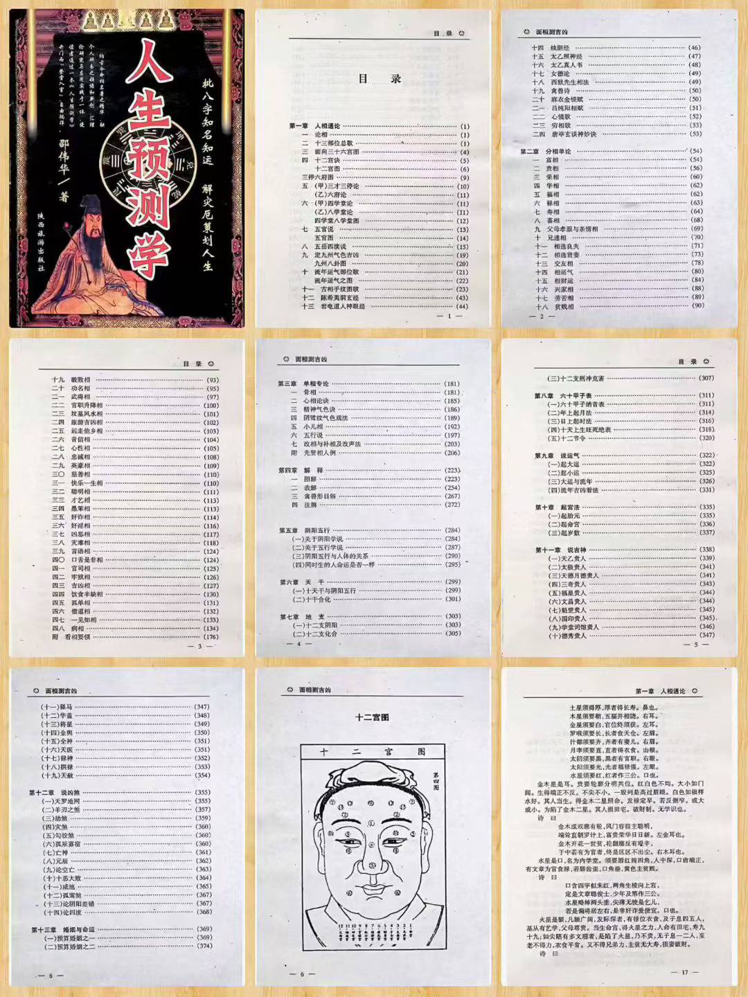 96.jpg