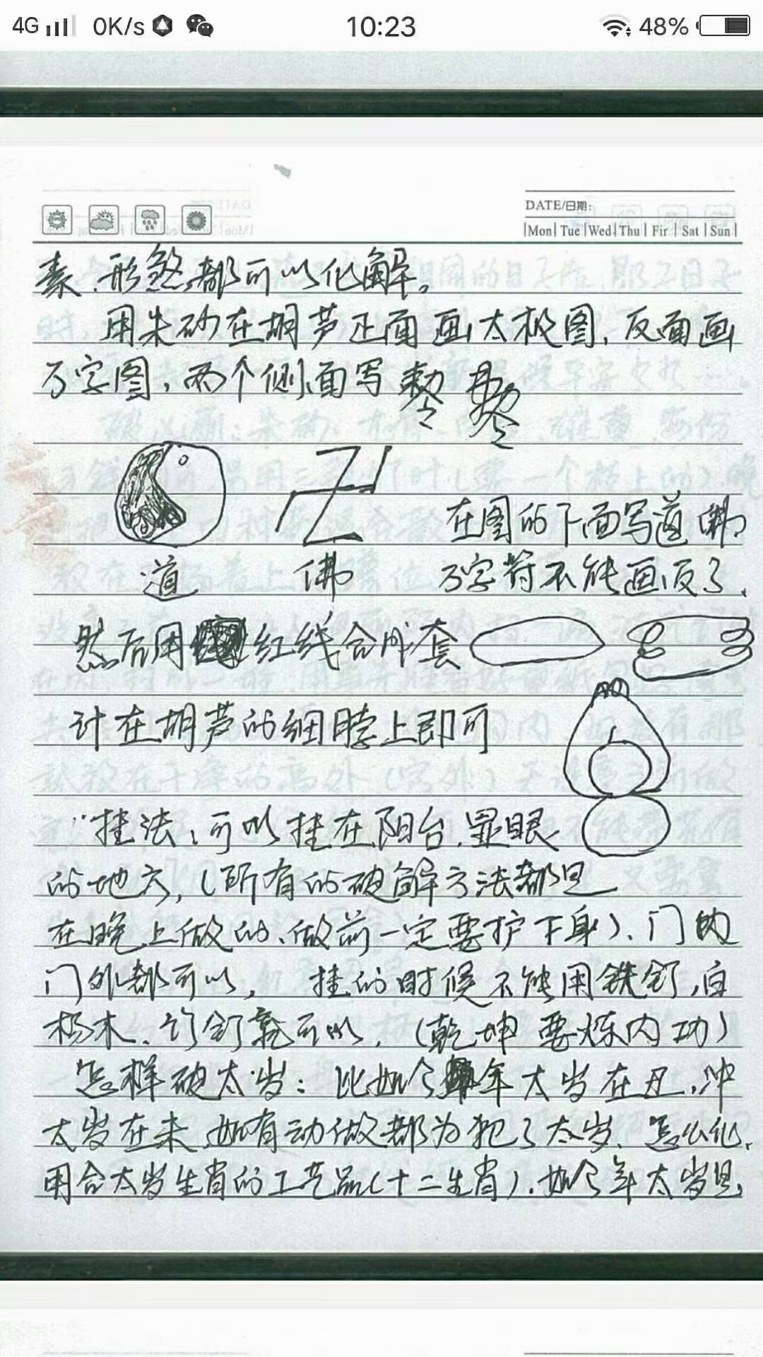 146.jpg